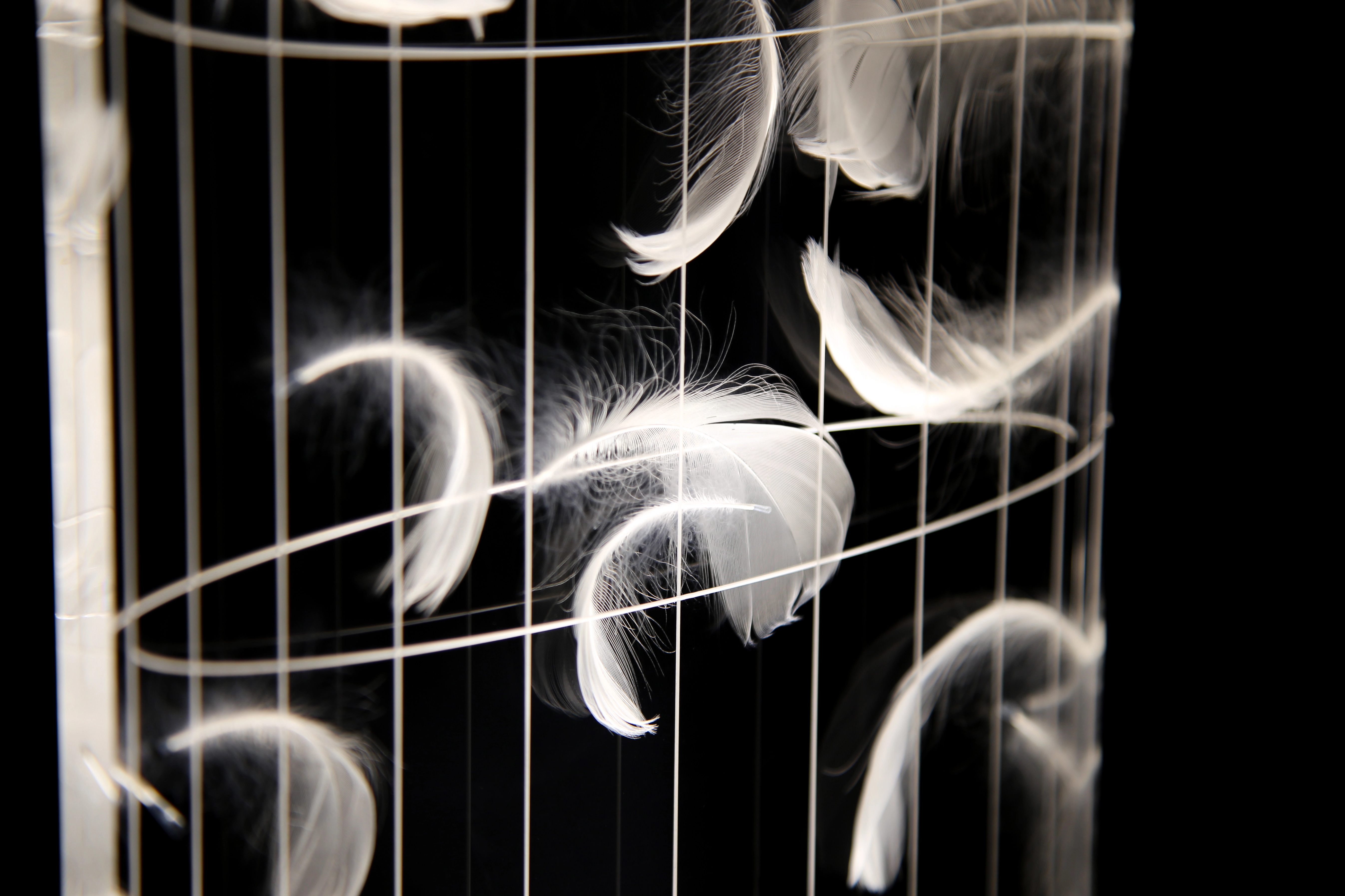 GS&G - lampada in lastra piumata